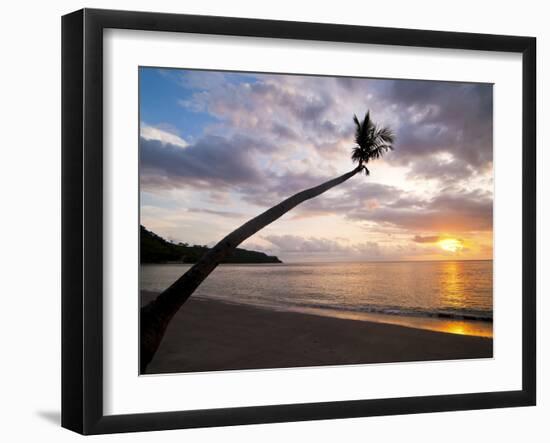 Overhanging Palm Tree at Nippah Beach at Sunset, Lombok Island, Indonesia, Southeast Asia-Matthew Williams-Ellis-Framed Photographic Print