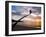 Overhanging Palm Tree at Nippah Beach at Sunset, Lombok Island, Indonesia, Southeast Asia-Matthew Williams-Ellis-Framed Photographic Print