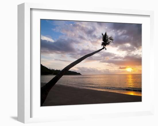 Overhanging Palm Tree at Nippah Beach at Sunset, Lombok Island, Indonesia, Southeast Asia-Matthew Williams-Ellis-Framed Photographic Print