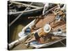 Overhead of Brazillian Men Working on a Small Cargo Boat-Dmitri Kessel-Stretched Canvas