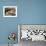 Overhead of Brazillian Men Working on a Small Cargo Boat-Dmitri Kessel-Framed Photographic Print displayed on a wall