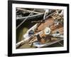 Overhead of Brazillian Men Working on a Small Cargo Boat-Dmitri Kessel-Framed Photographic Print