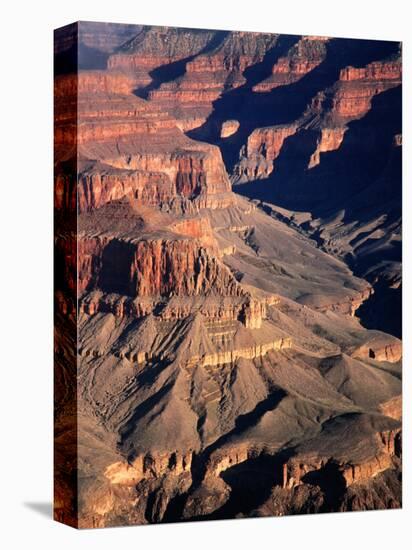 Overhead of South Rim of Canyon, Grand Canyon National Park, U.S.A.-Mark Newman-Stretched Canvas