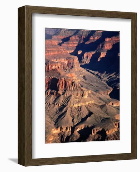 Overhead of South Rim of Canyon, Grand Canyon National Park, U.S.A.-Mark Newman-Framed Photographic Print