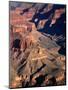 Overhead of South Rim of Canyon, Grand Canyon National Park, U.S.A.-Mark Newman-Mounted Photographic Print