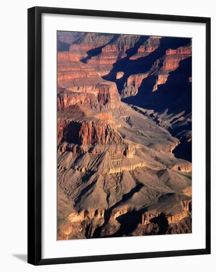 Overhead of South Rim of Canyon, Grand Canyon National Park, U.S.A.-Mark Newman-Framed Photographic Print