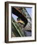 Overhead Railway over Th River Wupper, Wuppertal, North Rhine-Westphalia, Germany, Europe-Hans Peter Merten-Framed Photographic Print