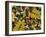 Overhead View of Autumn Leaves on the Ground-Kathy Collins-Framed Photographic Print