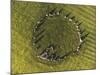 Overhead view of Castlerigg Stone Circle at dawn, Lake District National Park-Ian Egner-Mounted Photographic Print