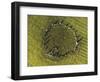 Overhead view of Castlerigg Stone Circle at dawn, Lake District National Park-Ian Egner-Framed Photographic Print