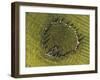 Overhead view of Castlerigg Stone Circle at dawn, Lake District National Park-Ian Egner-Framed Photographic Print