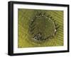 Overhead view of Castlerigg Stone Circle at dawn, Lake District National Park-Ian Egner-Framed Photographic Print