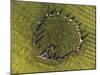 Overhead view of Castlerigg Stone Circle at dawn, Lake District National Park-Ian Egner-Mounted Photographic Print