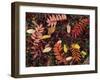 Overhead View of Fallen Rowan Leaves in Autumn Colours, Red and Gold-Kathy Collins-Framed Photographic Print