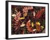 Overhead View of Fallen Rowan Leaves in Autumn Colours, Red and Gold-Kathy Collins-Framed Photographic Print