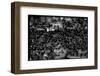 Overhead View of Men Relaxing on 36th Street, Between Eighth and Ninth Aves.-Margaret Bourke-White-Framed Photographic Print