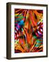 Overjoyed-Ruth Palmer-Framed Art Print