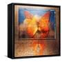 Overlaying Butterflies and Text-Colin Anderson-Framed Stretched Canvas