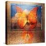 Overlaying Butterflies and Text-Colin Anderson-Stretched Canvas