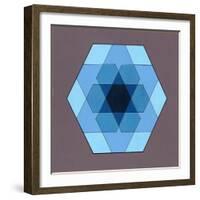 Overlaying Hexagons, 2009-Peter McClure-Framed Giclee Print