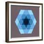 Overlaying Hexagons, 2009-Peter McClure-Framed Giclee Print