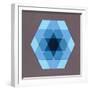 Overlaying Hexagons, 2009-Peter McClure-Framed Giclee Print