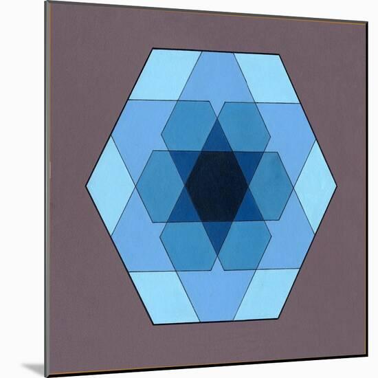 Overlaying Hexagons, 2009-Peter McClure-Mounted Giclee Print