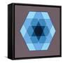 Overlaying Hexagons, 2009-Peter McClure-Framed Stretched Canvas