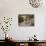 Overlook of Library with Tourists, Ephesus, Turkey-Joe Restuccia III-Photographic Print displayed on a wall