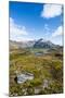 Overlook over the bay of Godthul, South Georgia, Antarctica, Polar Regions-Michael Runkel-Mounted Photographic Print