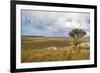 Overlook over the Highlands of the Nyika National Park, Malawi, Africa-Michael Runkel-Framed Photographic Print