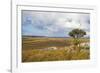 Overlook over the Highlands of the Nyika National Park, Malawi, Africa-Michael Runkel-Framed Photographic Print