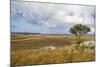 Overlook over the Highlands of the Nyika National Park, Malawi, Africa-Michael Runkel-Mounted Photographic Print