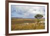 Overlook over the Highlands of the Nyika National Park, Malawi, Africa-Michael Runkel-Framed Photographic Print