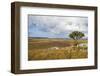 Overlook over the Highlands of the Nyika National Park, Malawi, Africa-Michael Runkel-Framed Photographic Print