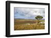 Overlook over the Highlands of the Nyika National Park, Malawi, Africa-Michael Runkel-Framed Photographic Print