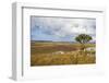 Overlook over the Highlands of the Nyika National Park, Malawi, Africa-Michael Runkel-Framed Photographic Print