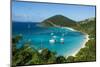 Overlook over White Bay, Jost Van Dyke, British Virgin Islands, West Indies, Caribbean, Central Ame-Michael Runkel-Mounted Photographic Print