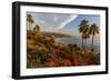 Overlooking Blooming Aloe in Laguna Beach, Ca-Andrew Shoemaker-Framed Photographic Print