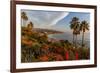 Overlooking Blooming Aloe in Laguna Beach, Ca-Andrew Shoemaker-Framed Photographic Print