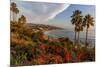 Overlooking Blooming Aloe in Laguna Beach, Ca-Andrew Shoemaker-Mounted Photographic Print