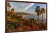 Overlooking Blooming Aloe in Laguna Beach, Ca-Andrew Shoemaker-Framed Photographic Print