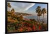 Overlooking Blooming Aloe in Laguna Beach, Ca-Andrew Shoemaker-Framed Photographic Print