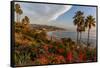 Overlooking Blooming Aloe in Laguna Beach, Ca-Andrew Shoemaker-Framed Stretched Canvas