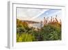 Overlooking Blooming Aloe in Laguna Beach, Ca-Andrew Shoemaker-Framed Photographic Print