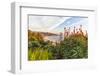 Overlooking Blooming Aloe in Laguna Beach, Ca-Andrew Shoemaker-Framed Photographic Print