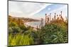 Overlooking Blooming Aloe in Laguna Beach, Ca-Andrew Shoemaker-Mounted Photographic Print