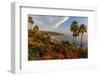 Overlooking Blooming Aloe in Laguna Beach, Ca-Andrew Shoemaker-Framed Photographic Print