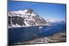 Overlooking Grytviken and King Edward Point, South Georgia, South Atlantic, Polar Regions-Geoff Renner-Mounted Photographic Print