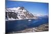 Overlooking Grytviken and King Edward Point, South Georgia, South Atlantic, Polar Regions-Geoff Renner-Mounted Photographic Print